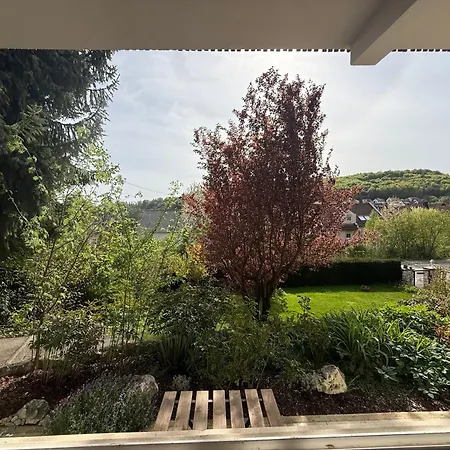 Daire Lautertal Panorama-suite - Kingsize-bett & Badewanne & Dusche - Raucherbereich Vor Ueberdachten Terrasse - Rosengarten - Parkplaetze 15m Entfernt- Naturschutzgebiet Vor Haustuere - Sehr Ruhige Gegend - Self-checkin - 45qm2 *